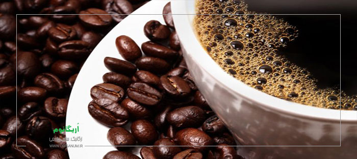 قهوه گانودرما اصل