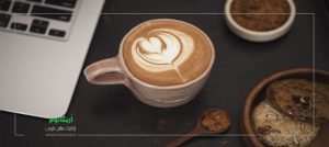 قارچ گانودرما را از کجا تهیه کنیم؟