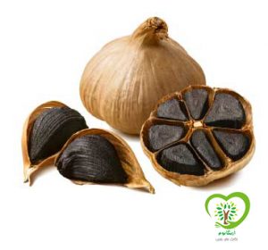 سیر سیاه